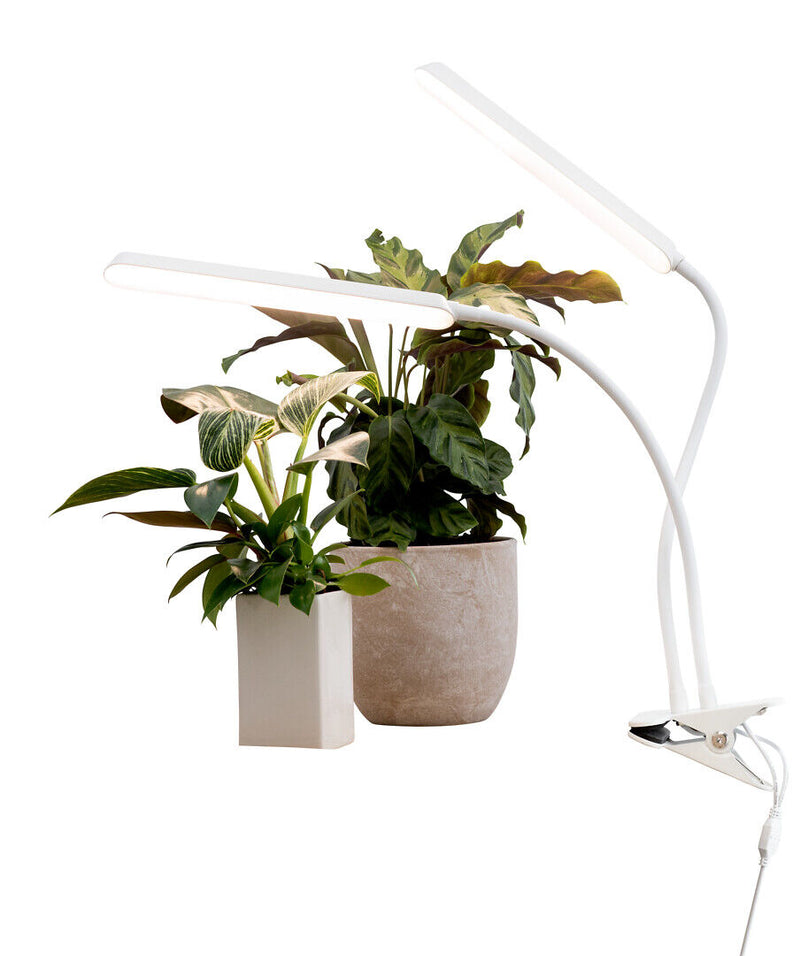 16W, 780lm, Tulpe, 4000K, IP20, LED-Pflanzenleuchte Airam 