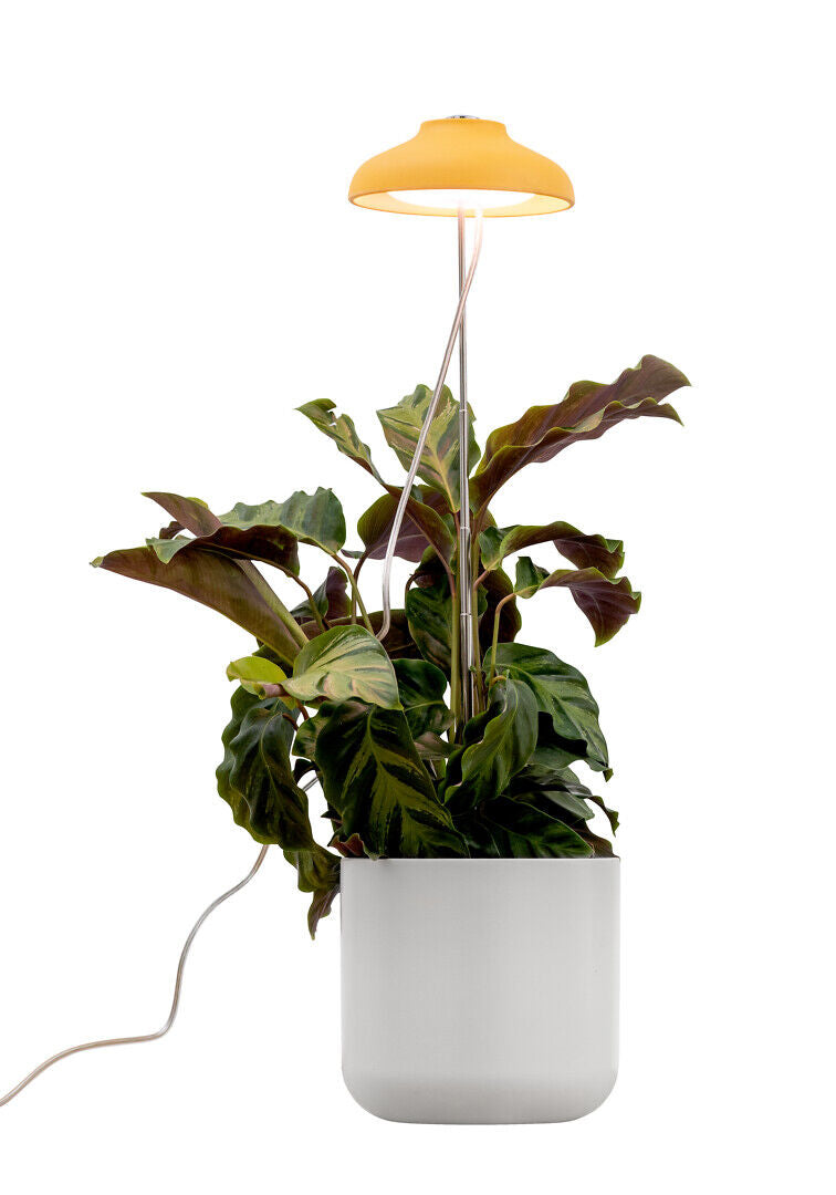 5W, 240lm, Iris, 3500K, IP20, LED-Pflanzenleuchte Airam