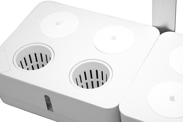20 W, 1450 lm, Daisy, 3500 K, IP20, LED-Pflanzenleuchte Airam 