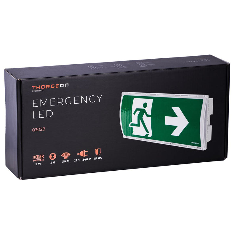5 W, 100 lm, Notleuchte LED, IP65, IK08, mit 3-Stunden-Akku, weiße LED-Sicherheitsleuchte Thorgeon