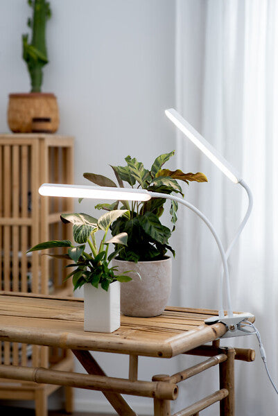 16W, 780lm, Tulpe, 4000K, IP20, LED-Pflanzenleuchte Airam 