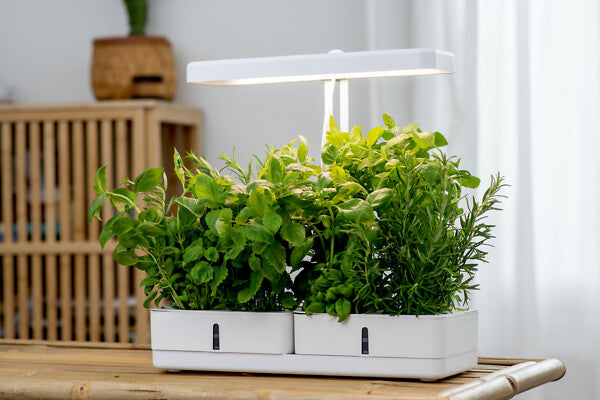 20 W, 1450 lm, Daisy, 3500 K, IP20, LED-Pflanzenleuchte Airam 
