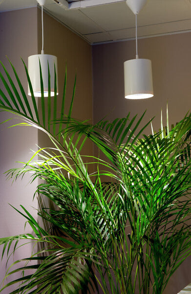 9.5W, 800lm, Fiora, 3500K, IP20, LED Kasvivalaisin Airam