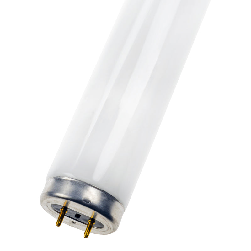 30W, UV-A Blacklight BL368 T8, G13, 895mm, Hyönteislamppu