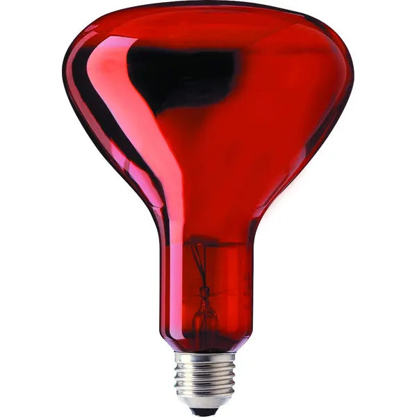 240V, 100W, Infrared RED, E27, R95, 95x125mm, Lämpölamppu punainen Patron