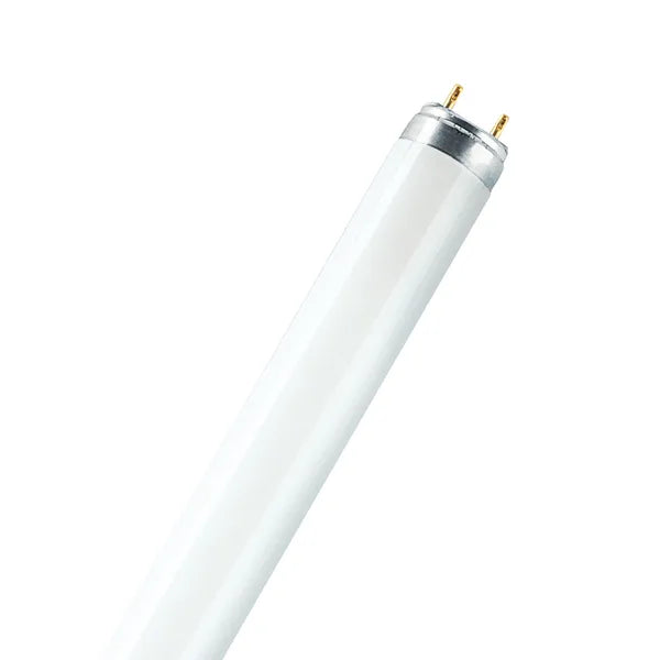 36W, 2400lm, T8 G13, 26x1200mm, Loisteputki Patron